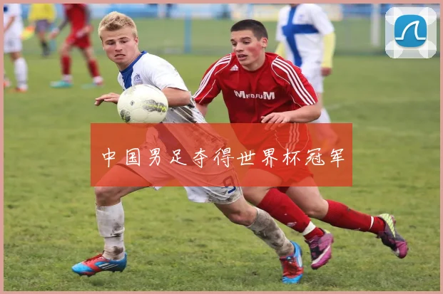 中国男足夺得世界杯冠军