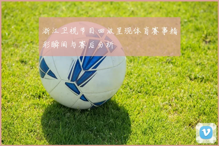 浙江卫视节目回放呈现体育赛事精彩瞬间与赛后分析